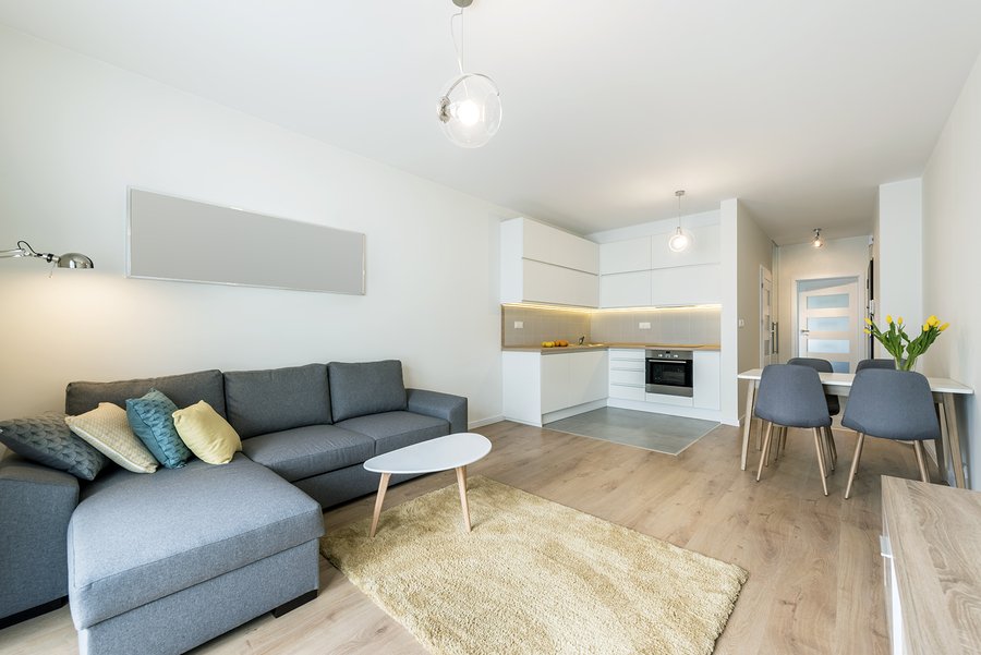 Modern living room and kitchen in small apartment